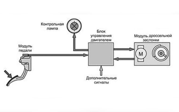 Где расположен газ и тормоз на машине с автоматической коробкой передач