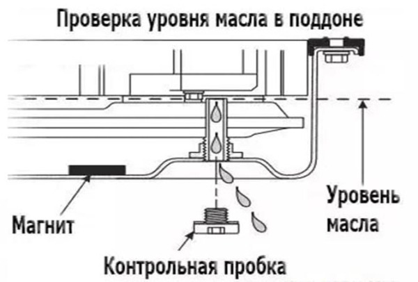Причины появления толчков в АКПП после замены масла