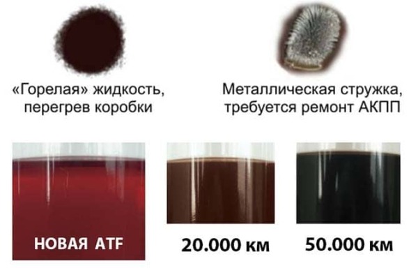 Причины почему пенится масло в АКПП и что делать водителю