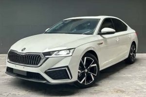 Покупка Skoda Octavia из Китая: подробное руководство